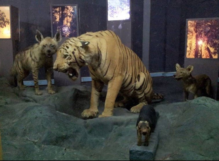 Regional Museum of Natural History Mysuru, India